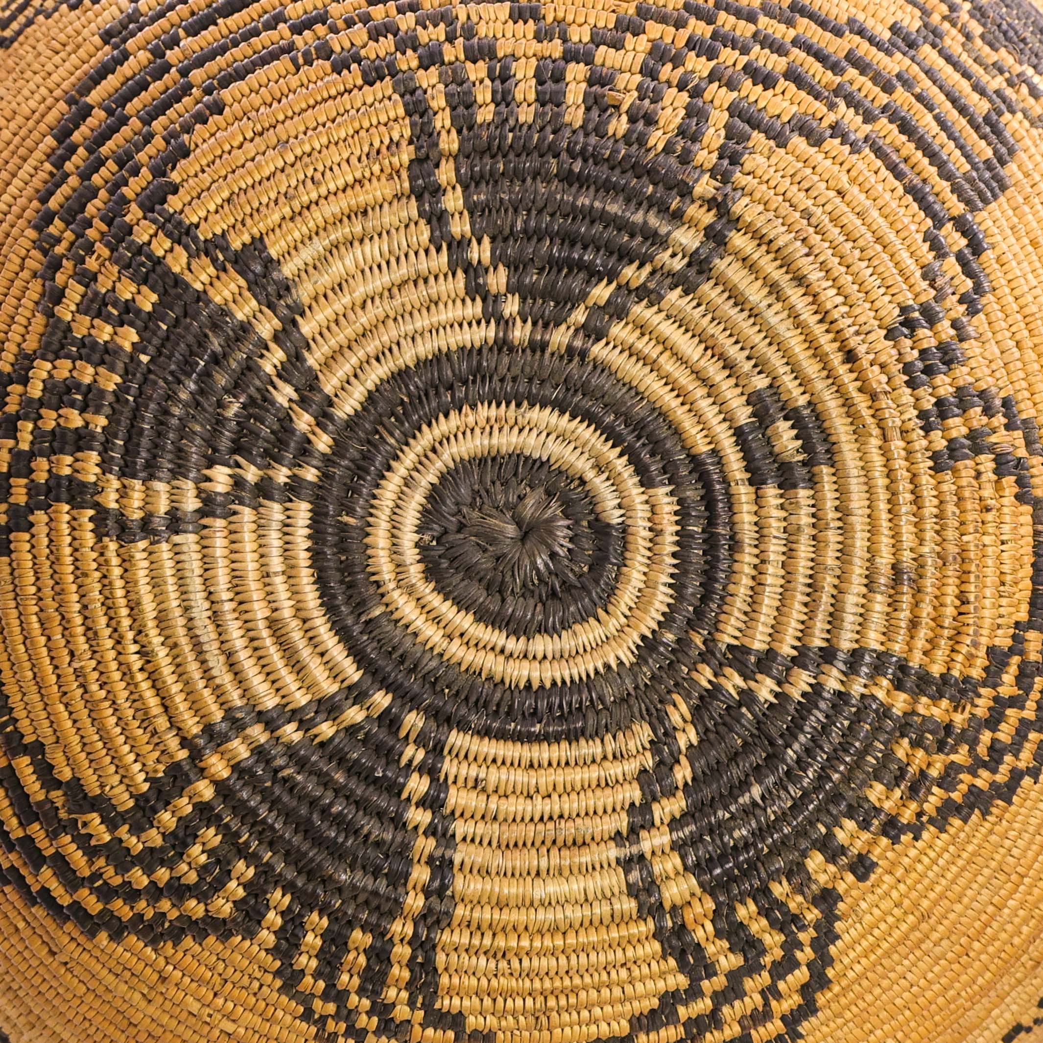 1900 Apache Olla - Image 5
