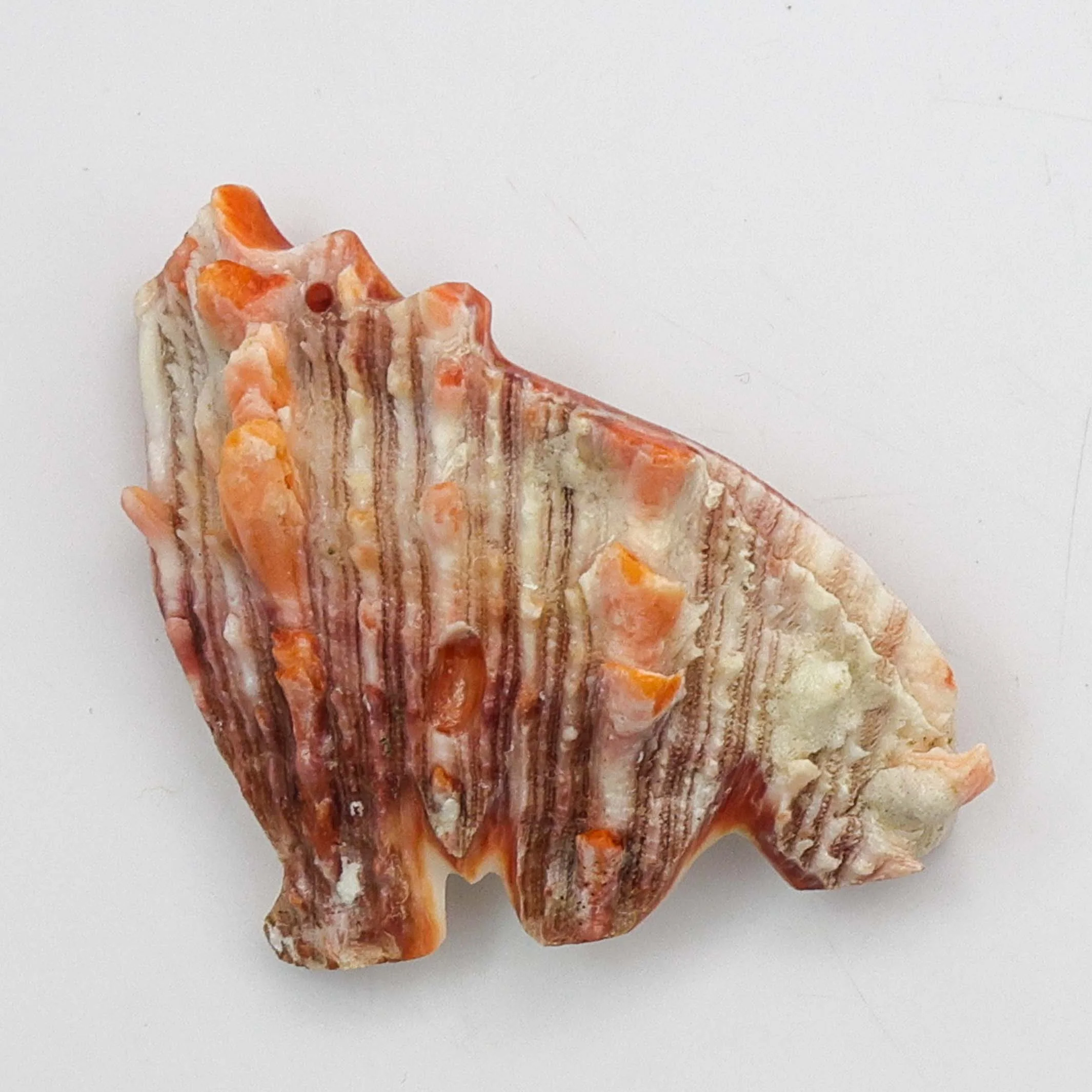 Spiny Oyster Wolf Fetish - Image 2