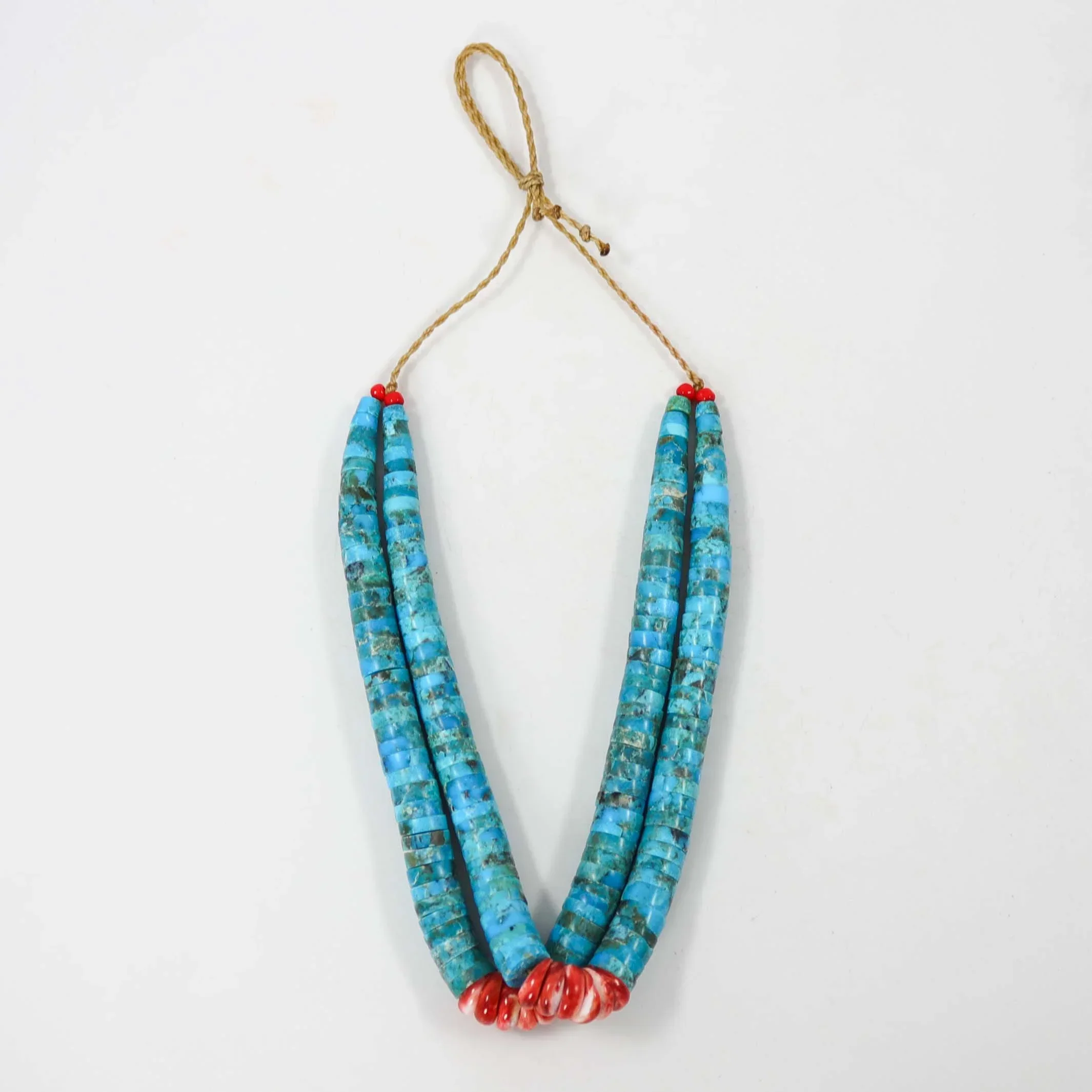 Turquoise and Spiny Jacla
