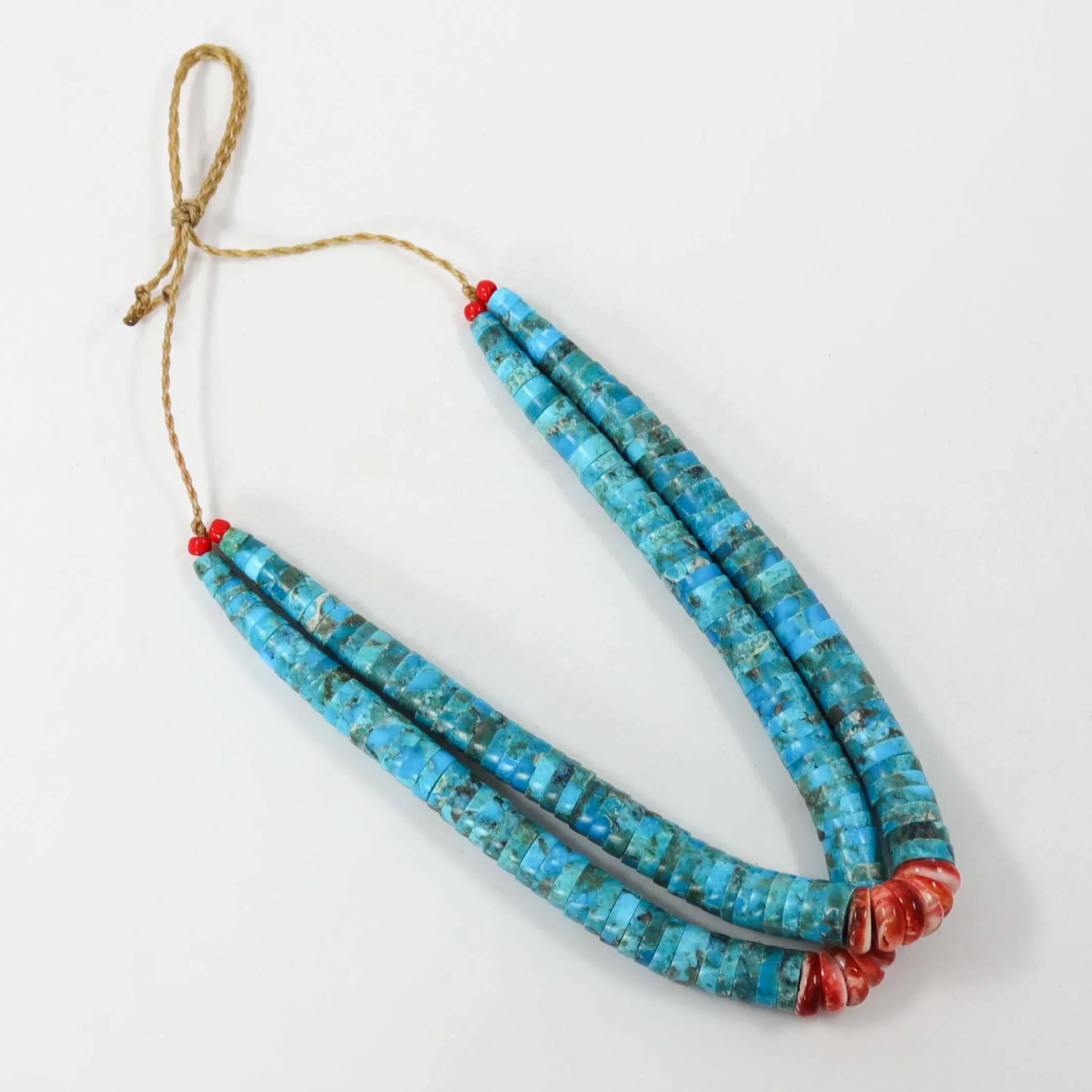 Turquoise and Spiny Jacla - Image 3